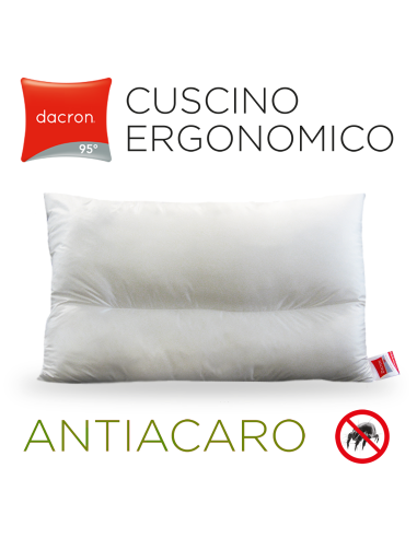 copy of Classic Anti-dust mite pillow...
